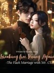 Breaking Free, Loving Again -The Flash Marriage with Mr. CEO